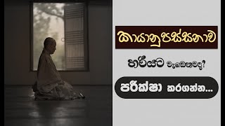 වස්සාන සමය 2024  විශේෂ ධර්ම සාකච්ඡා 38  Niwan Dakimu [upl. by Crosley856]