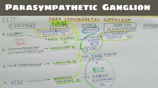 Parasympathetic Ganglion 1 Ciliary Sphenopalatine Submandibular Otic Ganglion  TCML [upl. by Naga]