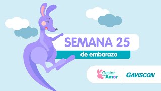 Semana 25 de embarazo [upl. by Nissa]