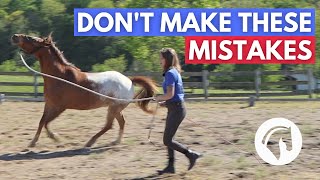 HORSE LUNGING MISTAKES  5 WORST MISTAKES [upl. by Earal]