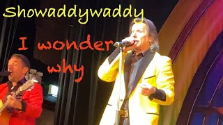 Showaddywaddy I wonder why  live June 2024 UK [upl. by Oran]