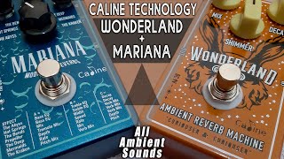 CALINE Wonderland  Mariana  Ambient Guitar PostRock Sounds  ON A BUDGET [upl. by Erlandson]