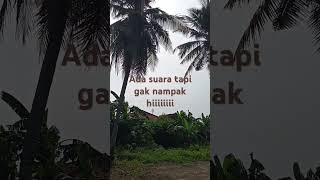 Ada suaranya aja aneh jaranan Lampung [upl. by Beutler]