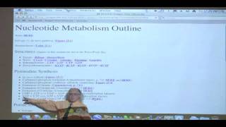 Kevin Aherns BiteSized Biochemistry 39  Nucleotide Metabolism I [upl. by Fronia]