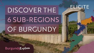 What Are The Wine SubRegions Of Burgundy [upl. by Acherman]