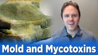 Mold and Mycotoxins  Podcast 212 [upl. by Allicirp406]