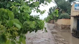 Rain road river and shesham tree a scene of Pakistani villages [upl. by Almeda]