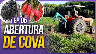 Você vai querer utilizar esse adubo no seu plantio de Açaí  EP 05 [upl. by Anuhsal]