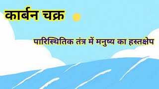 हमारा पर्यावरणकार्बन चक्र Carbon cycle पारिस्थितिक तंत्र में मनुष्य का हस्तक्षेप 10th Science [upl. by Mellen802]