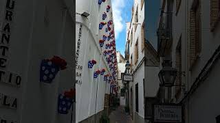 Eterna primavera cordoba andalucia españa travel flowers street art guitar spain monument [upl. by Tyree123]