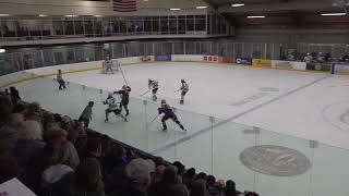 Section Playoffs  Park Cottage Grove vs CretinDerham Hall  MN High School Hockey 2222024 [upl. by Hoxsie]