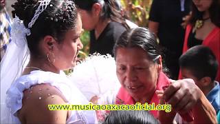 Boda tradicional en sierra Mazateca Oaxaca [upl. by Dhaf]