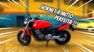 HORNET A MOTO PERFEITA [upl. by Marlea]