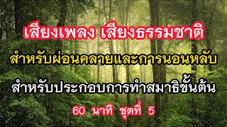 เพลง เสียงธรรมชาติ ผ่อนคลาย นอนหลับ ทำสมาธิ 60 นาที ชุดที่ 5 [upl. by Enyehc]