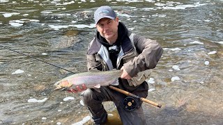 Centrepin fishing for steelhead and brown trout Lake Ontario tributary [upl. by Cadman169]