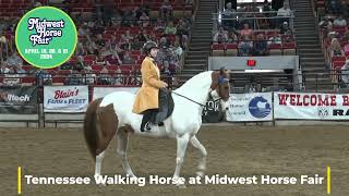 The Elegant Tennessee Walking Horse at Midwest Horse Fair 2023 [upl. by Negaem573]