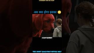 the big red dog full movie Explain in fifth part। reddog movie shorts [upl. by Ardnuyek]