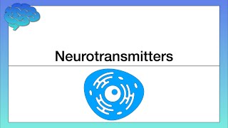 How do Neurotransmitters Work Chemical Activity in the Brain [upl. by Andel]