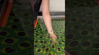 Hydro Dipping Hand 🇧🇷satisfyingvideo hydrodipping [upl. by Leirvag862]