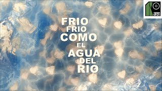 Juan Luis Guerra 440  Frío Frío Lyric Video [upl. by Aredna533]