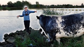 KUH bewirbt sich als KÖDERTESTERIN [upl. by Melisande]