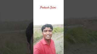 Jiske sapne hame roj aate hai Dil lobate rahe  Sri prakash Saini you tube short video [upl. by Thessa]