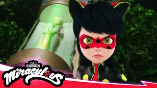 MIRACULOUS  🐞 NEUGESTALTUNG – Der finale Tag Teil 2  Akumatisierung 🐾  STAFFEL 5 FOLGE 26 [upl. by Aniham]