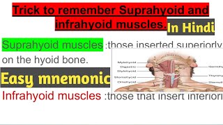 Suprahyoid and infrahyoid muscles mnemonicin hindi [upl. by Ahtera]