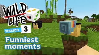 Funniest Moments of Ep3 Wild Life SMP FEAT Grian LDShadowLady Mumbo GeminiTay and more [upl. by Anrev309]