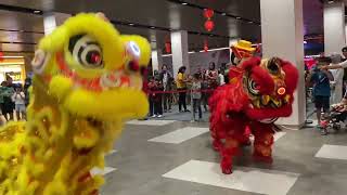 Barongsai ChinLik Performance di Palembang Indah Mall [upl. by Teak]