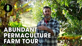 Beautiful 1Acre Small Scale Permaculture Property  Limestone Permaculture Farm Tour [upl. by Vocaay]