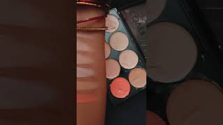 Swiss beauty palette concealer newyoutuberhelp ❤️ [upl. by Tani]