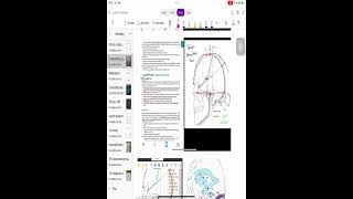 Craniometric point 1 gb  Amit sir [upl. by Ryann]