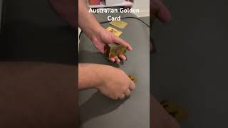 Australian Golden Card australia goldencard video shorts [upl. by Mikkel281]