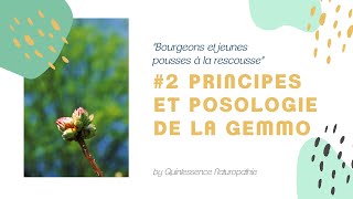 2 Principes et posologie de la gemmothérapie [upl. by Guild394]