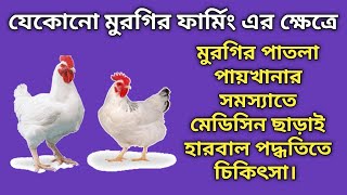 মুরগির ফার্মিংয়ে হারবাল পদ্ধতিতে চিকিৎসা  poultry lose motion herbal treatment [upl. by Downs]