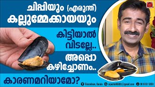 കല്ലുമ്മേക്കായയും ചിപ്പിയും എരുന്ത് കിട്ടിയാൽ വിടല്ലേ അപ്പൊ കഴിച്ചോണം കാരണമറിയാമോ [upl. by Babita]