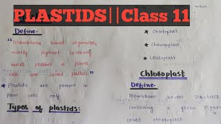 Plastidstypes of plastidsFunctionsClass 11Chapter 4Easy lectures by zaib [upl. by Nodarse]