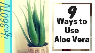 9 AMAZING Ways to Use ALOE VERA Plant Juice amp Gel for Hair Growth  Skin and Face [upl. by Lanti]