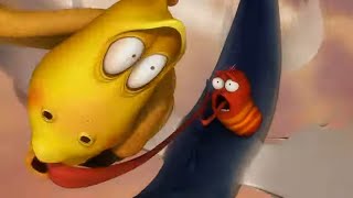 Pitapat 2  LARVA  Cartoons for Kids  WildBrain  Kids TV Shows Full Episodes [upl. by Liliane487]