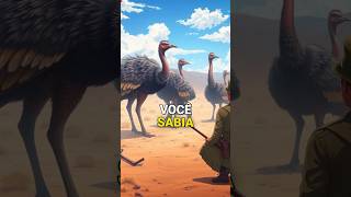 Guerra Inusitada Quando a Austrália Perdeu para os Emus [upl. by Ynnelg925]