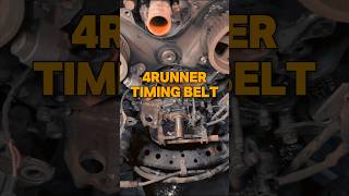 Timing belt automechanic automobile carcommunity toyota 4runner timingbelt car automotive [upl. by Ymereg]