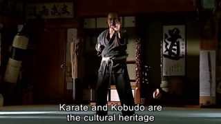 Trailer For Origin of Karate Trailer [upl. by Nref428]