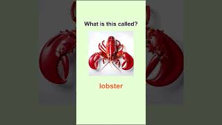 English Vocabulary 🦀🦐🐙englishvocabulary learnenglish dailyenglish esl englishlearning quiz [upl. by Ayatan]