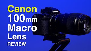 Canon EF 100mm F28 Macro USM Prime Lens Review [upl. by Divine629]