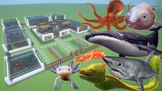 How To Make an Ocean Animal Farm in Minecraft PE [upl. by Gyatt]