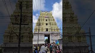 Ramanatha Swami Darshan shorts viralshort trend travel youtubeshorts ytshorts trending [upl. by Concoff157]