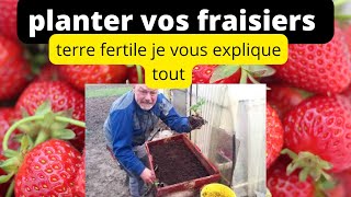 fraisiers comment implanter vos fraisiers et pailler [upl. by Dorrehs]