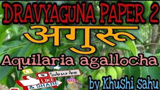 Aguru अगुरू  DRAVYAGUNA  DG 2ND  BAMS 2ND YEAR  DRUGS [upl. by Lad496]