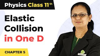 Elastic Collision in One Dimension  Work Energy and Power  Class 11 Physics [upl. by Nittirb544]